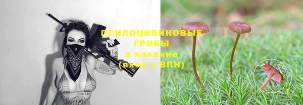 винт Березники