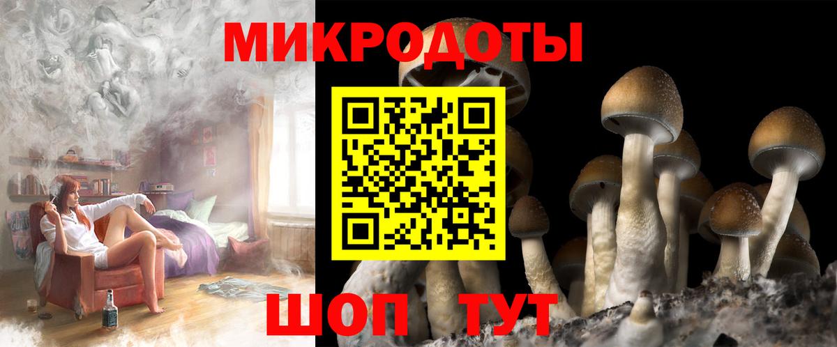 Галлюциногенные грибы Magic Shrooms Кандалакша