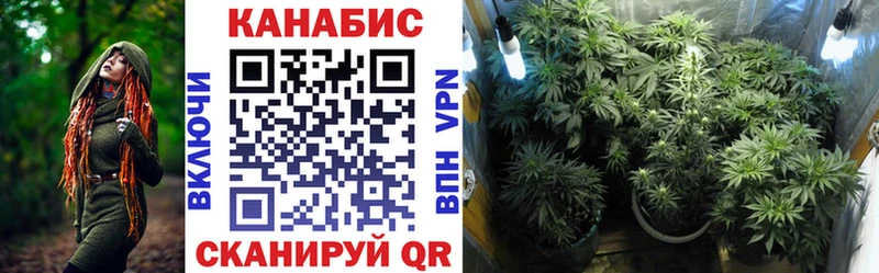 Бошки марихуана Amnesia  продажа наркотиков  Кандалакша 